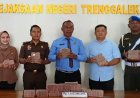 Kejari Trenggalek Berhasil Pulihkan Rp1,6 Miliar Kerugian Negara terkait Korupsi Dana  KUR Porang